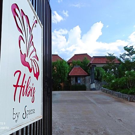 Hibis By Sparsa Vellore Luaran gambar